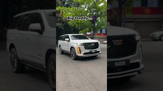 Cadillac Supremacy cadillac banglorecityluxurycar vcsupercarsbanglorebigdaddy trendingvideos [upl. by Akimyt]