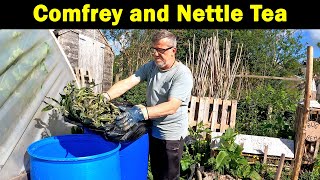 Comfrey Tea  Nettle Tea  New Purchases  Green Side Up [upl. by Aisirtap]