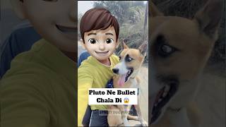 Pluto Ne Bike Chala Di 😱  doglover minivlog [upl. by Hacker]