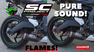 ZX25R  SC PROJECT EXHAUST  PURE SOUND  CEBU [upl. by Aiuoqes]