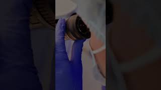 Role of an Embryologist  What Happens in an Embryology Lab gunjanivfworld ivfclinic delhiivf [upl. by Sherfield]