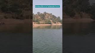 Krishna River in Nallamala Forest [upl. by Lavine265]