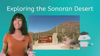 Exploring the Sonoran Desert  Environmental Science 1 for Teens [upl. by Namdor]