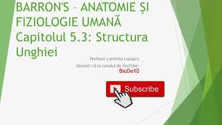 Barrons 54 Structura unghiei [upl. by Nitnelav]