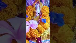 🙏🏻🌺🙏🏻Rahab Rushal Katek Din Bhawani devi geet aarti shortvideo [upl. by Aloeda]