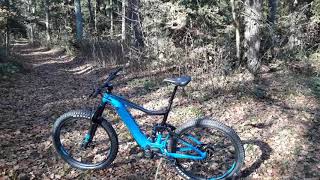 Giant Trance E Pro 2 2019 quotGesamteindruckquot [upl. by Nivej]