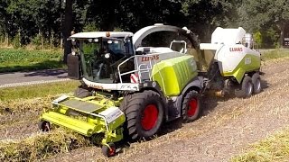 DUNAGRO uit Oude Pekela met CLAAS Jaguar 970 in Hemp [upl. by Sydalg]