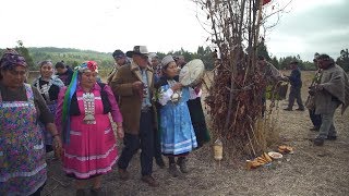 Los mapuches luchan por su lengua y su cultura [upl. by Muryh]