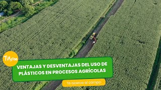 Ventajas y desventajas del uso de plásticos en procesos agrícolas  por Juan Gonzalo Angel Restrepo [upl. by Einaj958]