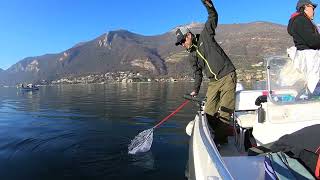 PESCA AL LAVARELLO  APERTURA COREGONE LAGO D ISEO 2022 [upl. by Assirahc76]