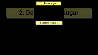 what is ribose and deoxyribose sugar l sugar found in DNA or RNA ।biology [upl. by Jaquenetta218]