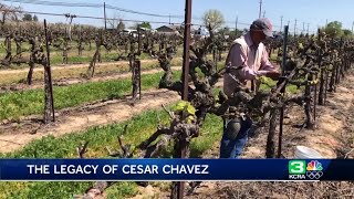 March 31 declared César Chávez Day in CA — but advocates say the fight continues [upl. by Castra31]