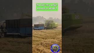 Basmati 1985 Paddy Variety [upl. by Oab]