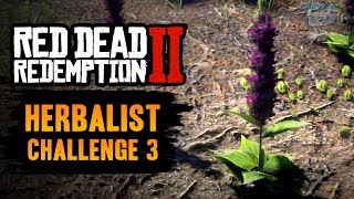 Red Dead Redemption 2 Herbalist Challenge 3 Guide  Craft 7 items using Sage as an ingredient [upl. by Viridissa273]