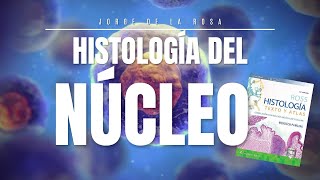 Núcleo Celular 🧫  Resumen Histología Ross 📚 [upl. by Pollitt577]