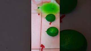 water balloonscolorful water balloonsred and green water balloonsviral balloonsshort [upl. by Attelrahs]