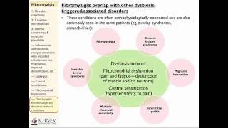 2016 Functional Medicine CME Fibromyalgia Microbiome Dysbiosis Mitochondria Pain Management [upl. by Tallbot506]