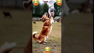 De playing dogfunnyvideo youtubeshorts trending mantumommagic shorts funny funnyvideo funny [upl. by Adnerad]