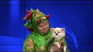 Piff the Magic Dragon amp Mr Piffles Make Magic Happen at KTLA [upl. by Nosnibor]