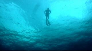 Freediving Spearfishing  19lb Mutton Amberjack Cobia King Mackerel [upl. by Dinnie]