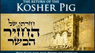 The Return of The Kosher Pig FacetoFace Interview with Rabbi Shapira [upl. by Buehler]