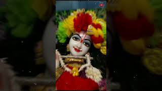 Witness Divine Presence Of Radha Gopinath radhagopinath isckon shortsfeed [upl. by Homere565]