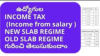 GOVT EMPLOYEES INCOME TAX NEW OLD SLAB REGIME income from salary tax [upl. by Nneb]