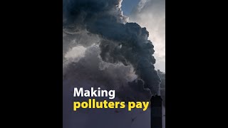 The polluter pays Updated Emissions Trading System [upl. by Drofnats]