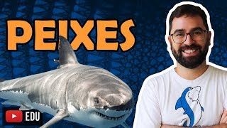 Peixes  Aula 28  Módulo VI Zoologia  Prof Gui [upl. by Eseilana]