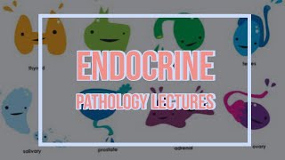 ENDOCRINE PATHOLOGY lecture 27 HYPERALDOSTERONISM and ADRENOGENITAL SYNDROME main points [upl. by Terrie284]