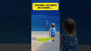 Delfines Los genios del océano 😱 [upl. by Ricketts793]