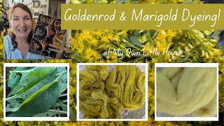 GOLDENROD and MARIGOLD DYEING [upl. by Laubin]