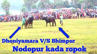 Dhoniyamara VS Bhimpur  nowa do Nodopur kada ropok video 2024 [upl. by Rosabelle838]