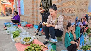 Harvest fresh tangerines goes to the market to sell  Gardening  Hà Tòn Chài [upl. by Enyamart356]