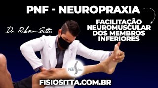 EXERCÍCIO FORTALECIMENTO MEMBRO INFERIOR FACILITAÇÃO NEUROMUSCULAR PROPRIOCEPTIVA Dr Robson Sitta [upl. by Eartha]