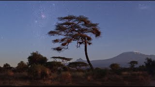 Starry Nights of Kilimanjaro [upl. by Nylemaj]