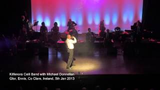 Kilfenora Ceili Band with Michael Donnellan  2013 New Year Concert [upl. by Seraphim]