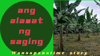 Ang Alamat ng Saging  kwentong pambata  wansapanatime story [upl. by Sandon839]