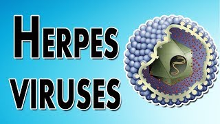 Herpes Symptoms Treatment and Causes [upl. by Refanej]