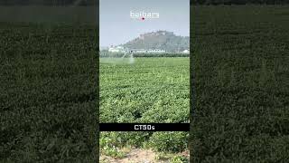 baibars CT50s agricultural drone spraying baibars drone [upl. by Mani]