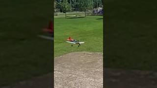 RC PLANE HARD BELLY CRASHrcplane viral aviation crash [upl. by Karel948]