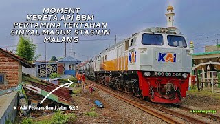 Hunting Gabut berujung dapat Banyak Momen Dadakan  Hunting JPL 71 Part 1 [upl. by Airdnahs]