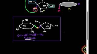 Disaccharides Sucrose [upl. by Aneeres]