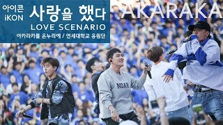 iKON Love Scenario live  아이콘 사랑을 했다 떼창  Fanchant Fancam  AKARAKA 2018 아카라카 연세대 축제 [upl. by Langsdon]