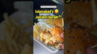 Best Beef And Chicken Burger In Islamabad Pakistan 🇵🇰 foodshorts streetfood pakistanifood [upl. by Ayerf]