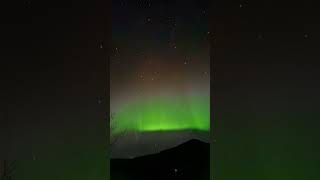 Amazing Aurora Borealis in Davik Bremanger 071124 norwaynature norwaytoday shorts [upl. by Intihw]