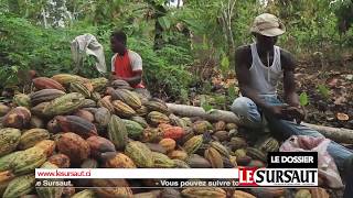 KONE MOUSSA président du Syndicat National Agricole pour le Progrès [upl. by Siocnarf417]