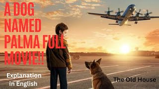 A Dog Named Palma full MovieEnglish explanation [upl. by Ezarra]