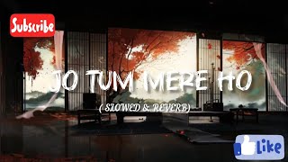 Anuv Jaini  Jo Tum Mere Ho  Slowed  Reverb  IND MUSIC PLACE 🎵 [upl. by Apollo]