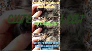 Live🐁Cute baby cats meowing 🐀funny baby cats and dogs🐕‍🦺 Videofunny cats shortsyutube shorts [upl. by Ittak]